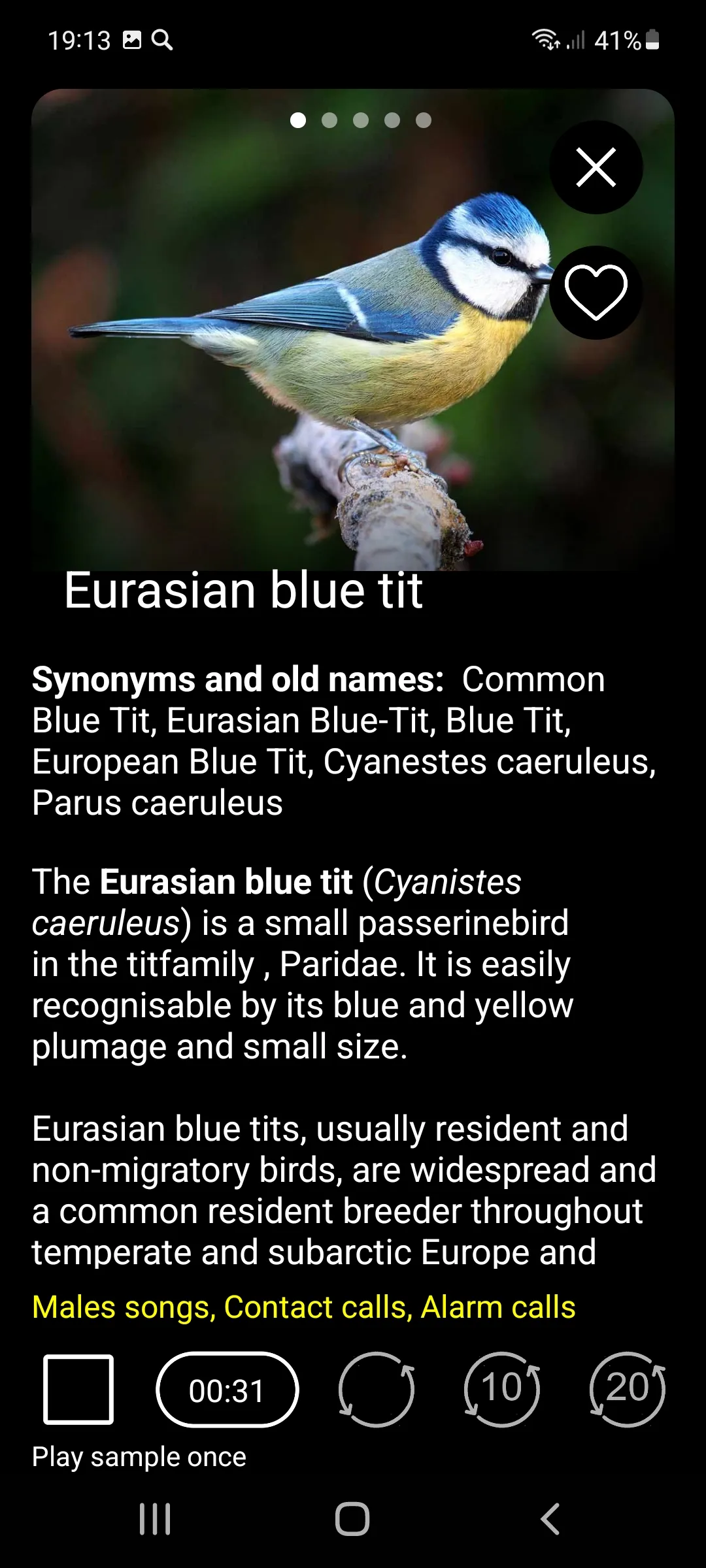 Birds of Europe Field Guide | Indus Appstore | Screenshot