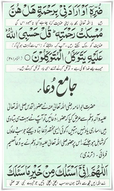 Ayat e Shifa | Indus Appstore | Screenshot