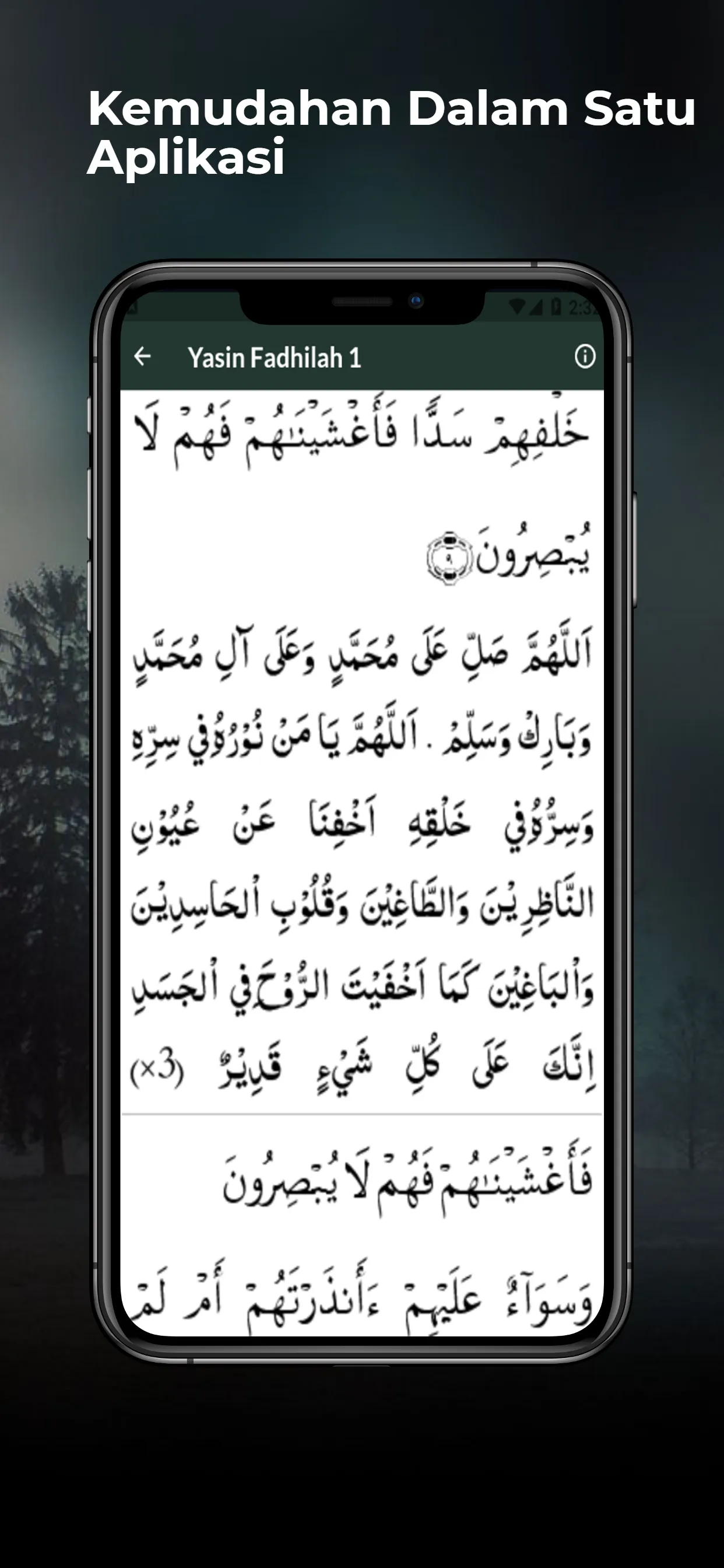 Surat Yasin Fadilah Lengkap | Indus Appstore | Screenshot