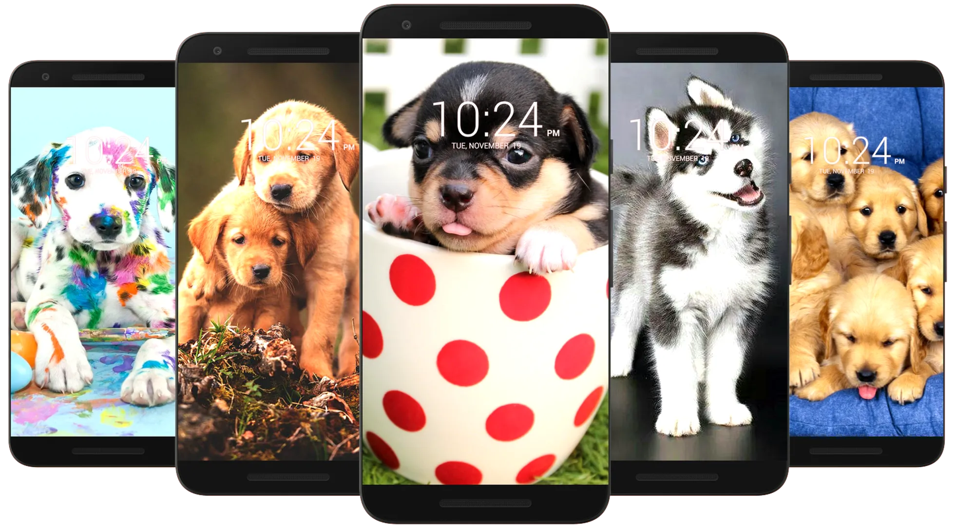 Dog Wallpaper HD | Indus Appstore | Screenshot