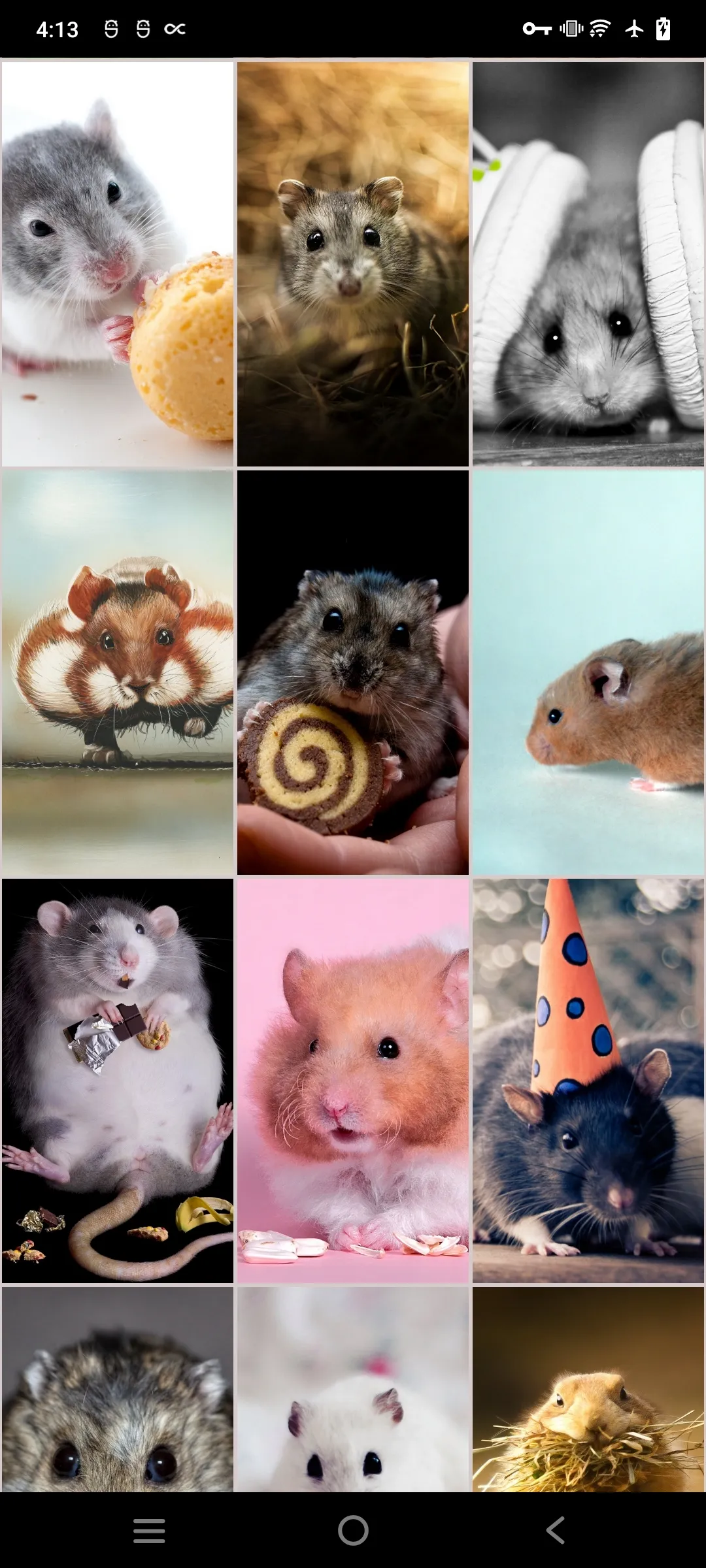 Hamster Wallpapers | Indus Appstore | Screenshot