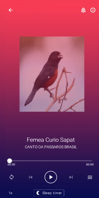 Cantos de Curio Praia | Indus Appstore | Screenshot