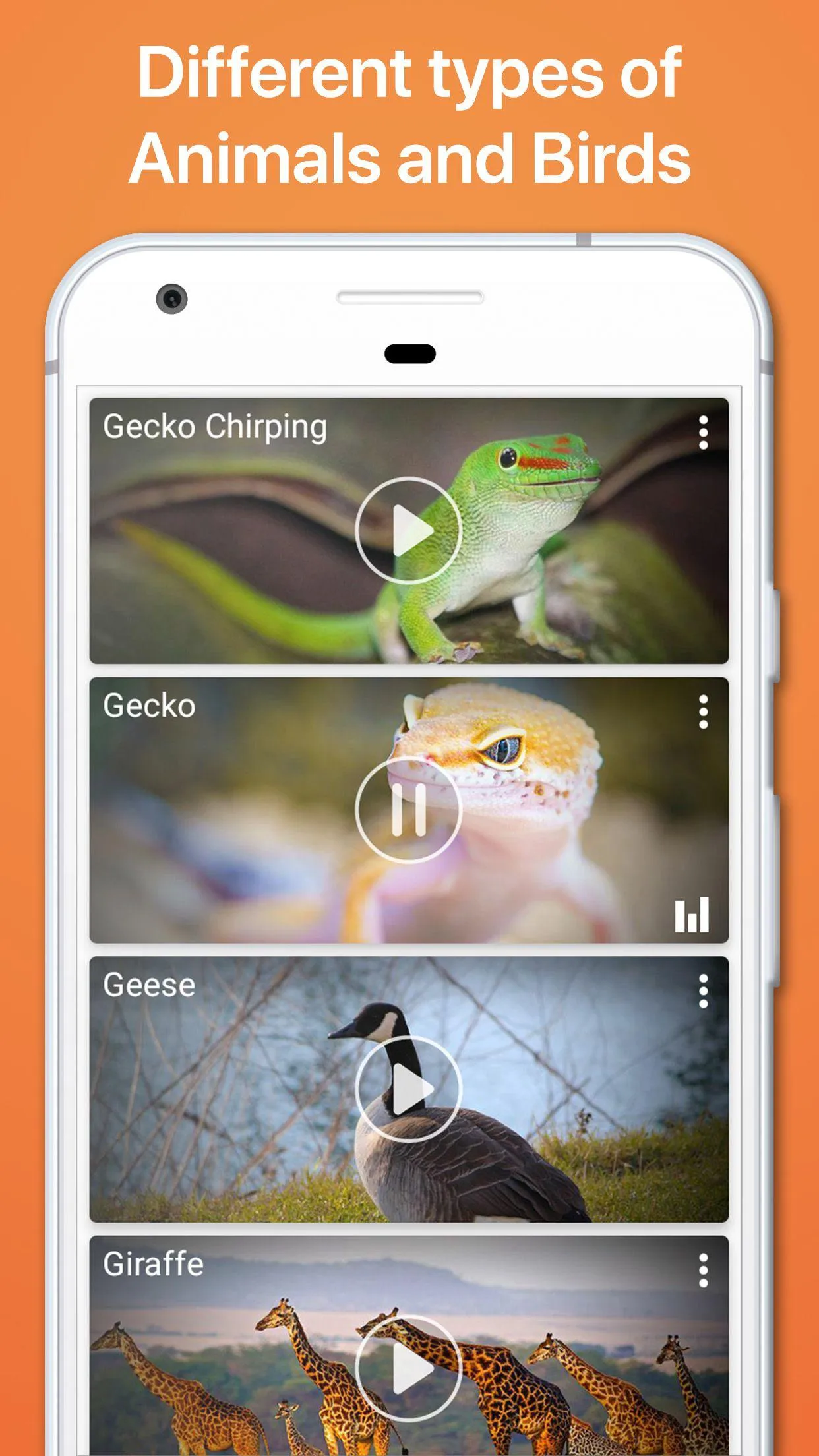 Animal Sounds Ringtones | Indus Appstore | Screenshot