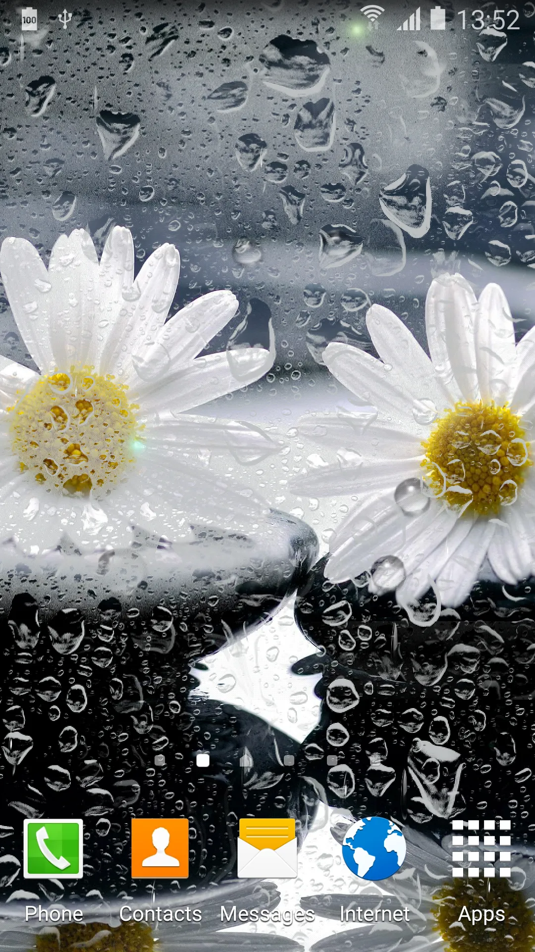 Daisies Flowers Live Wallpaper | Indus Appstore | Screenshot