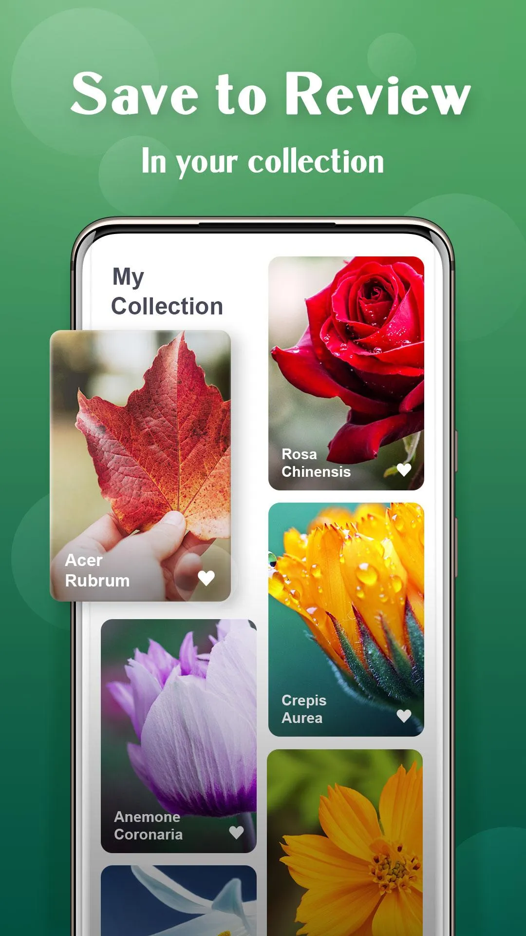 Plant Lens Plant identifier | Indus Appstore | Screenshot