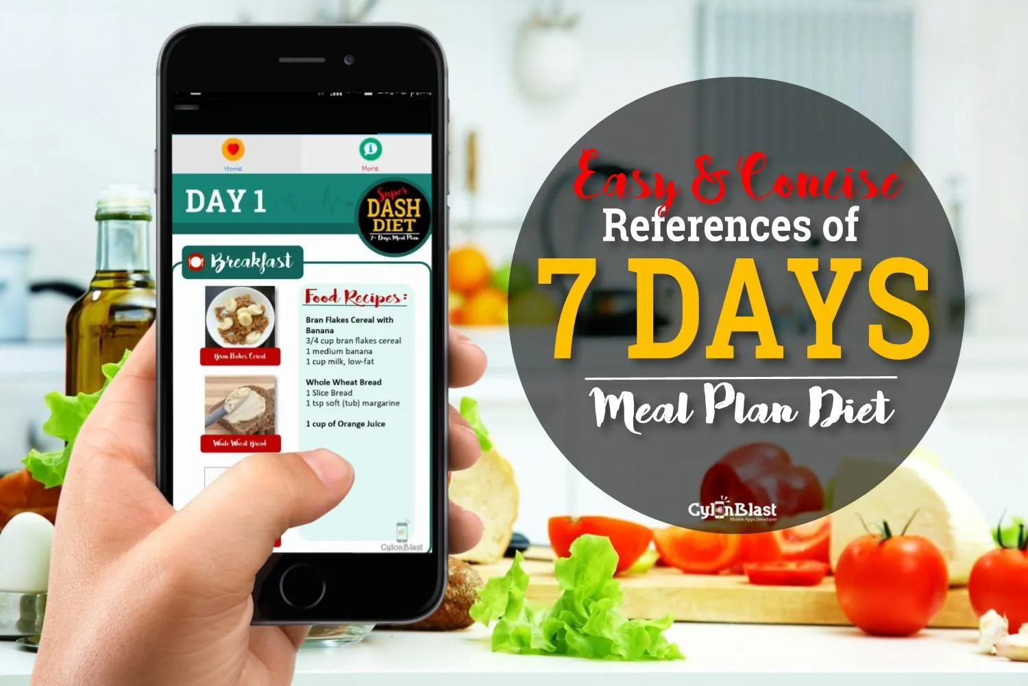 SUPER DASH DIET MEAL PLAN | Indus Appstore | Screenshot