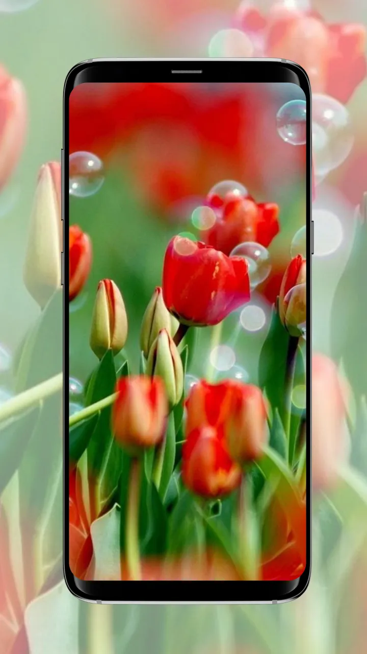 Flower wallpaper | Indus Appstore | Screenshot