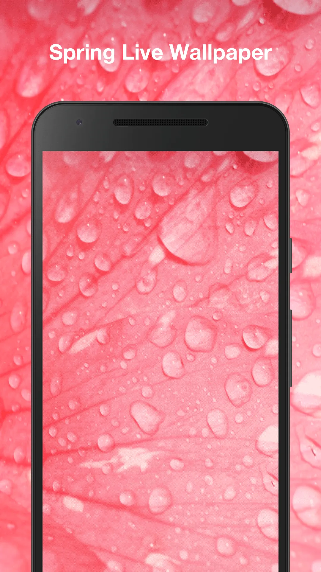 Spring Live Wallpaper | Indus Appstore | Screenshot