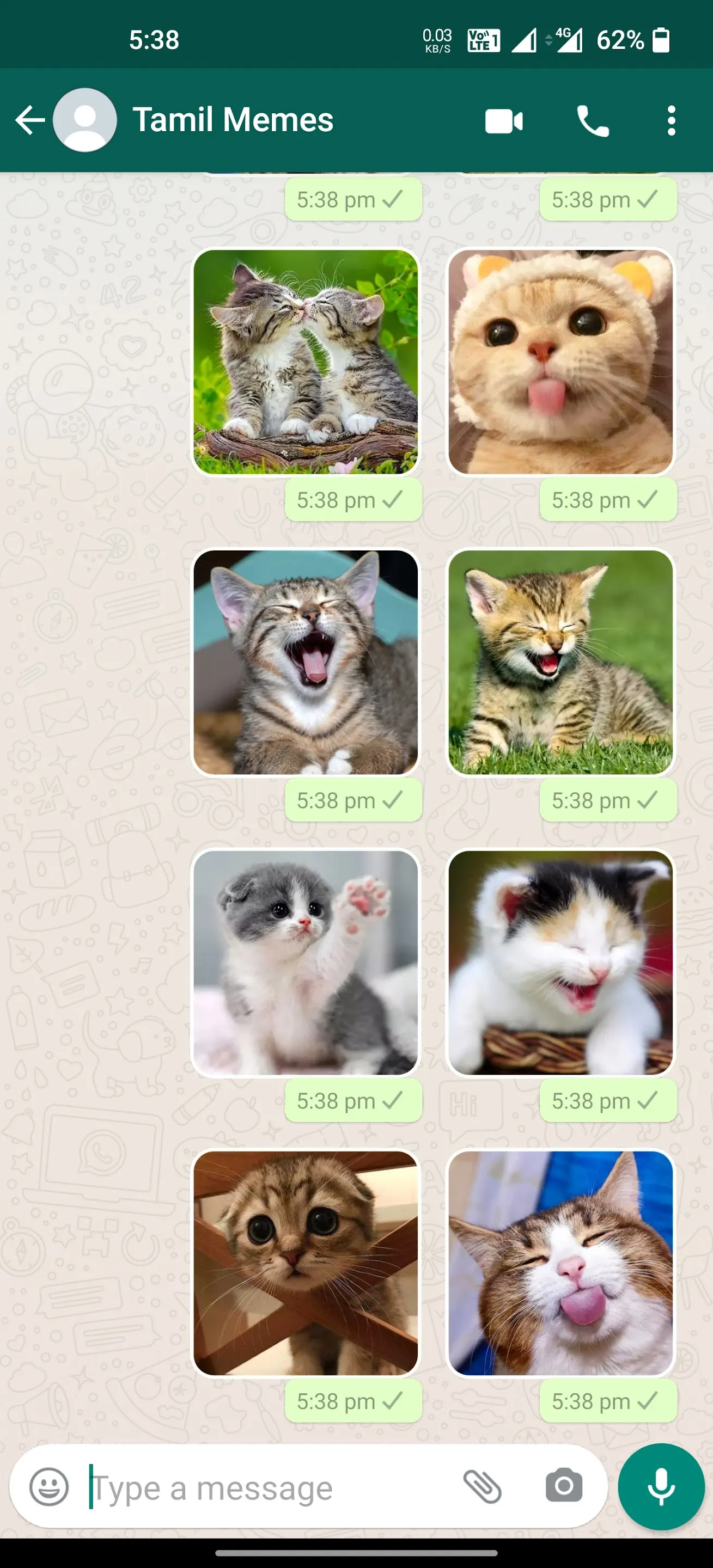 Cat Stickers | WAStickerApps | Indus Appstore | Screenshot