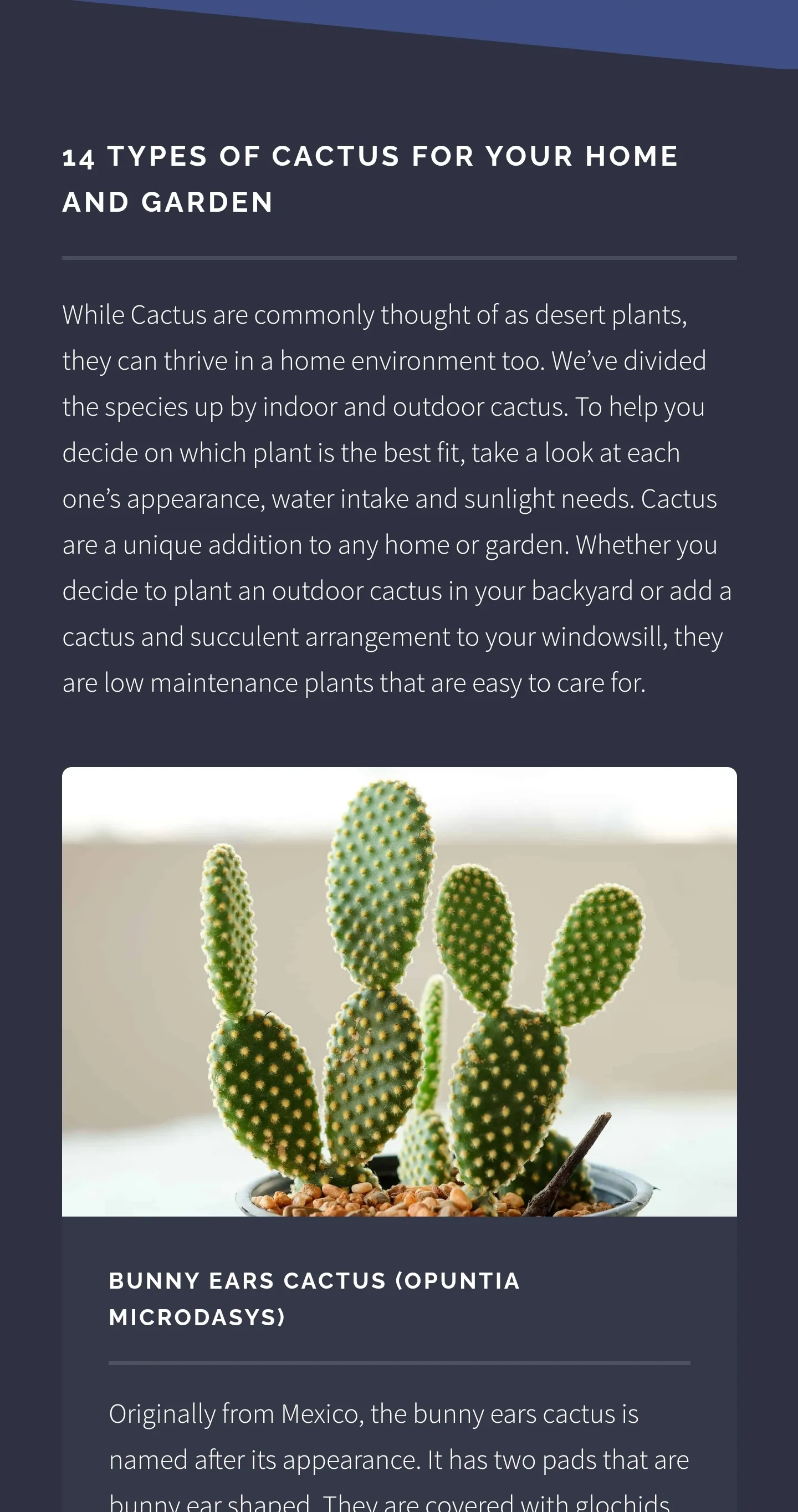 Cactus Guide - Planting Techni | Indus Appstore | Screenshot