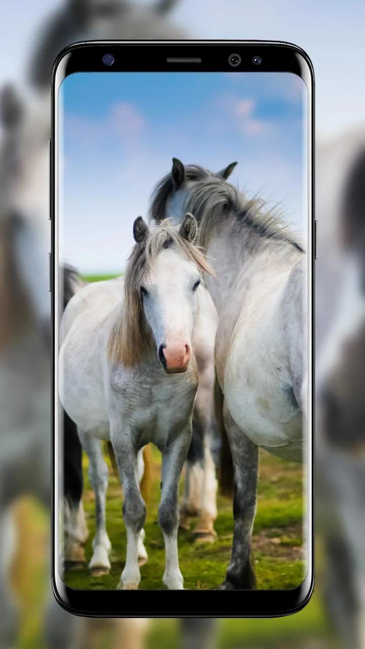 Horse Wallpapers | Indus Appstore | Screenshot