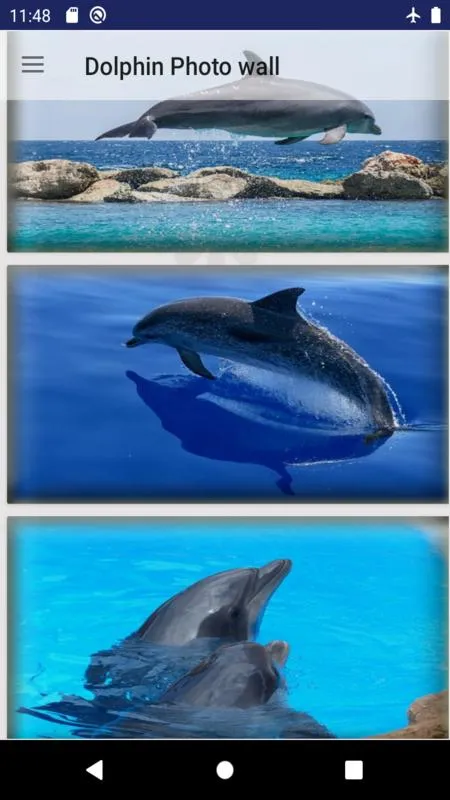 dolphin fish wallpaper | Indus Appstore | Screenshot