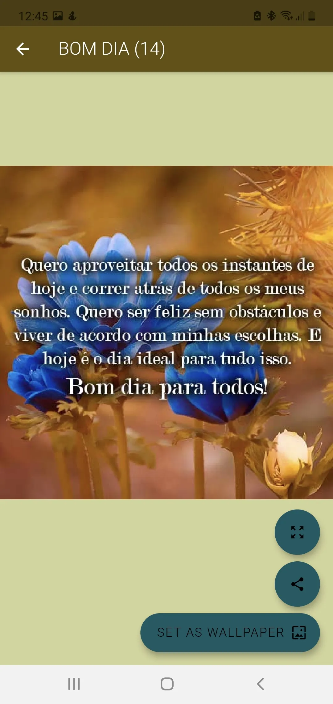 DEUS GUIA VOCÊ NO SEU DIA! | Indus Appstore | Screenshot