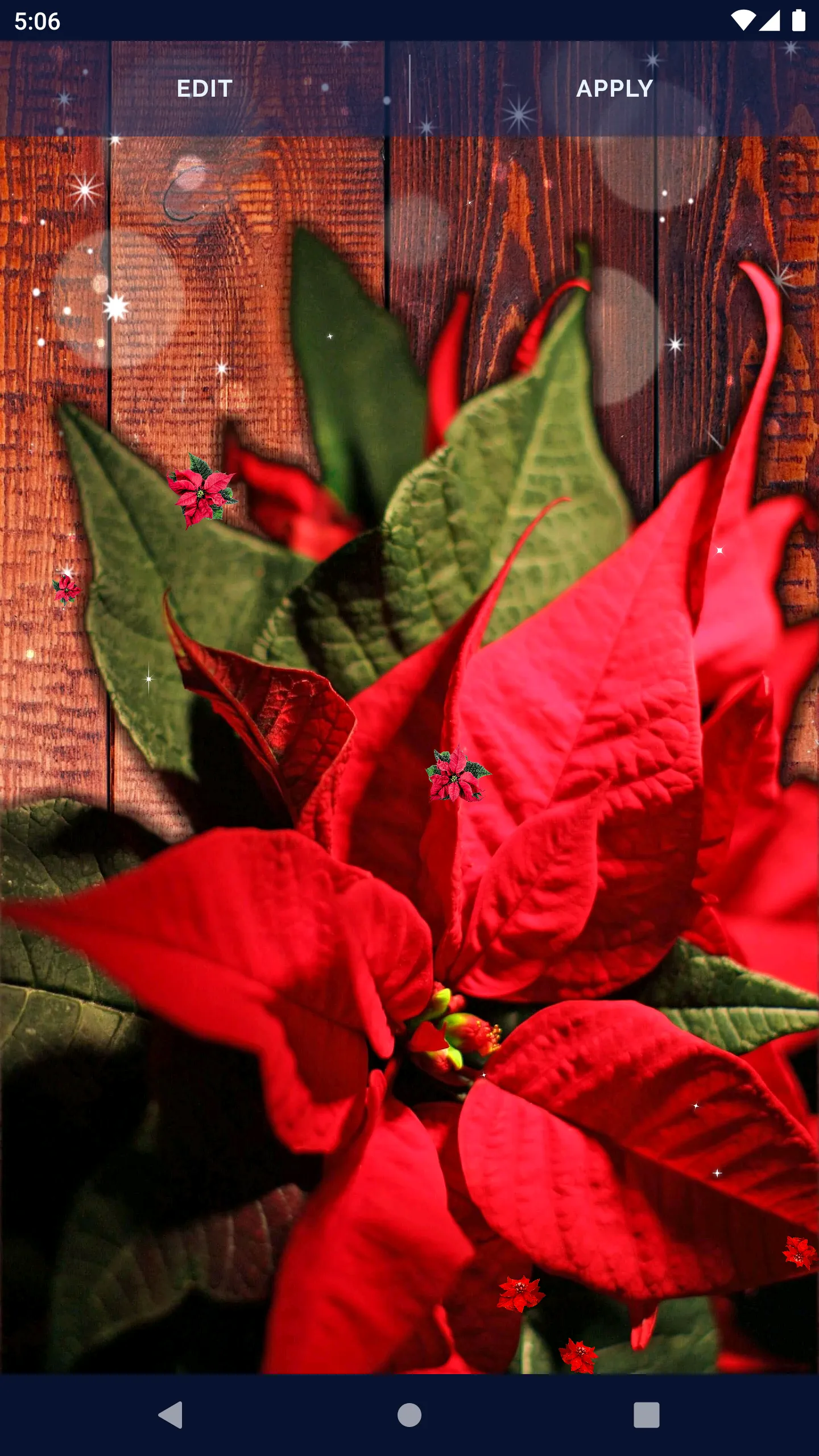 Poinsettia 4K Christmas Flower | Indus Appstore | Screenshot