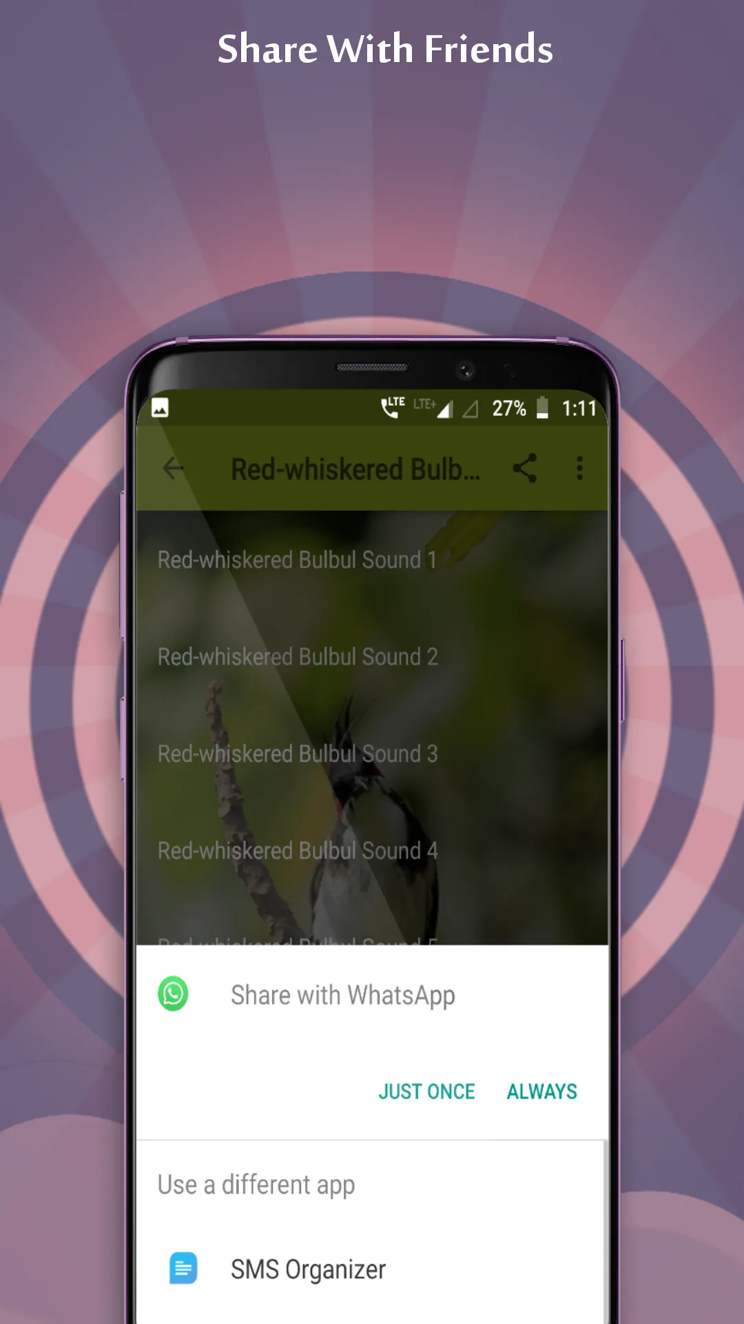 Red-whiskered Bulbul Sounds | Indus Appstore | Screenshot