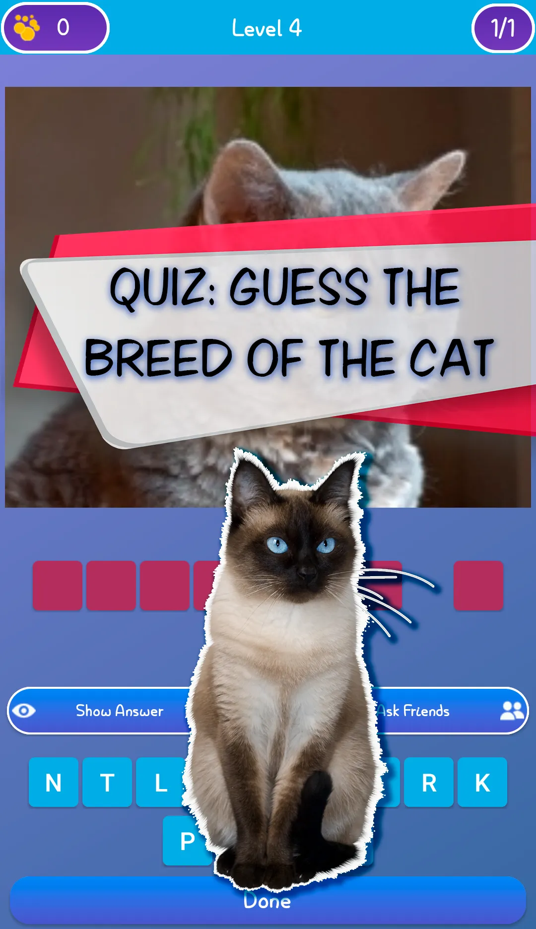 Guess the cat - quiz game | Indus Appstore | Screenshot