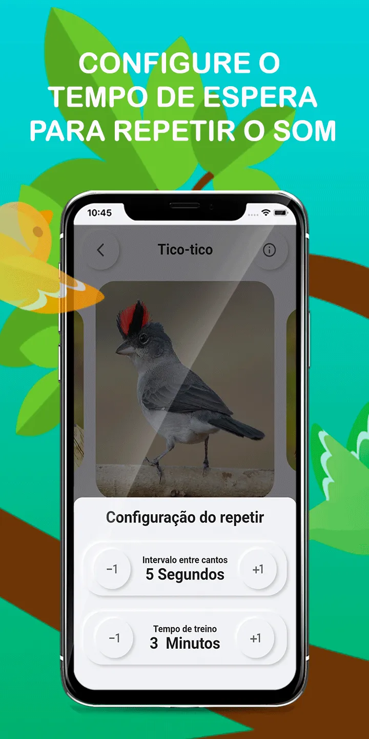 Bird songs of TicoTico | Indus Appstore | Screenshot