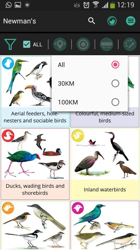 Newman's Birds LITE | Indus Appstore | Screenshot