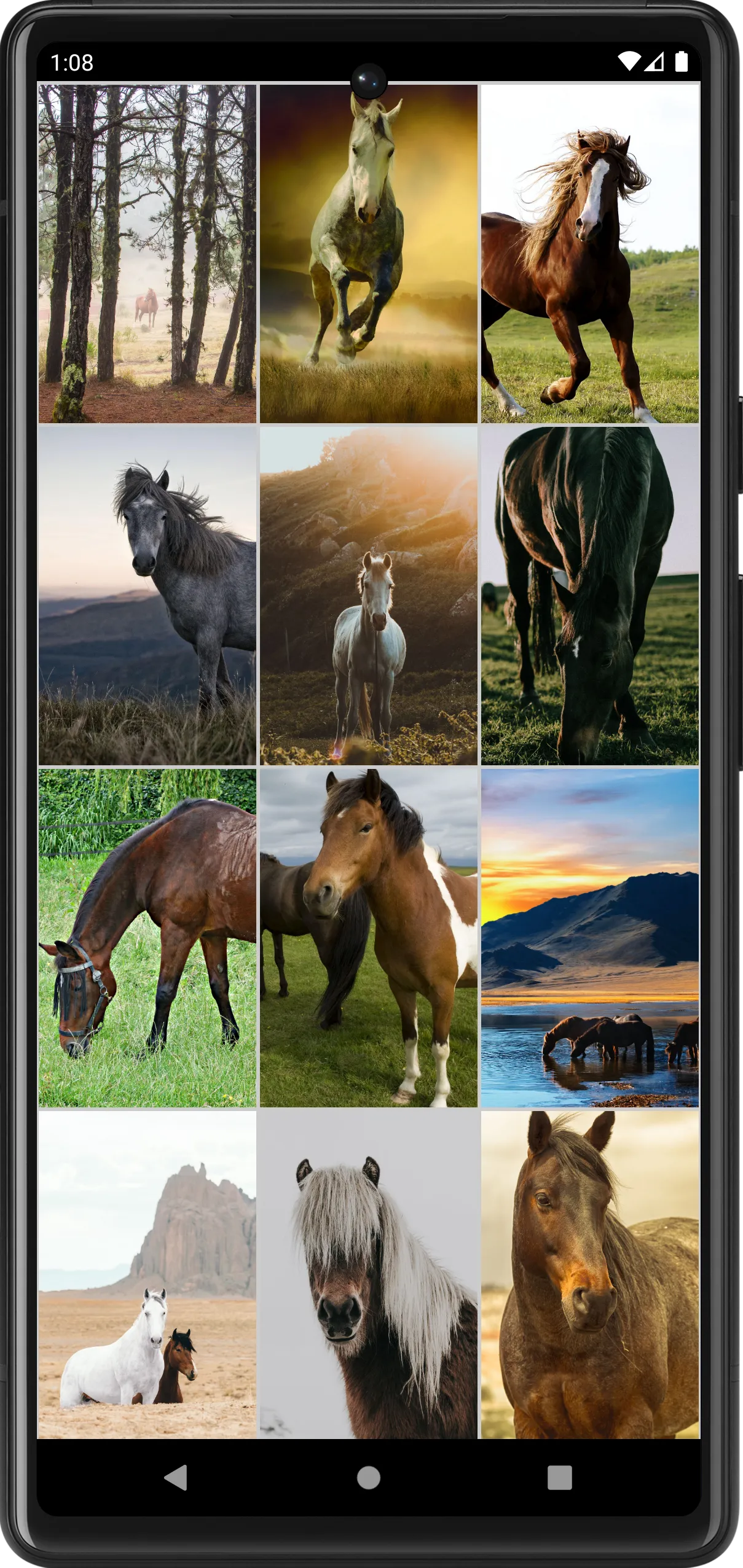 Horse Wallpapers | Indus Appstore | Screenshot