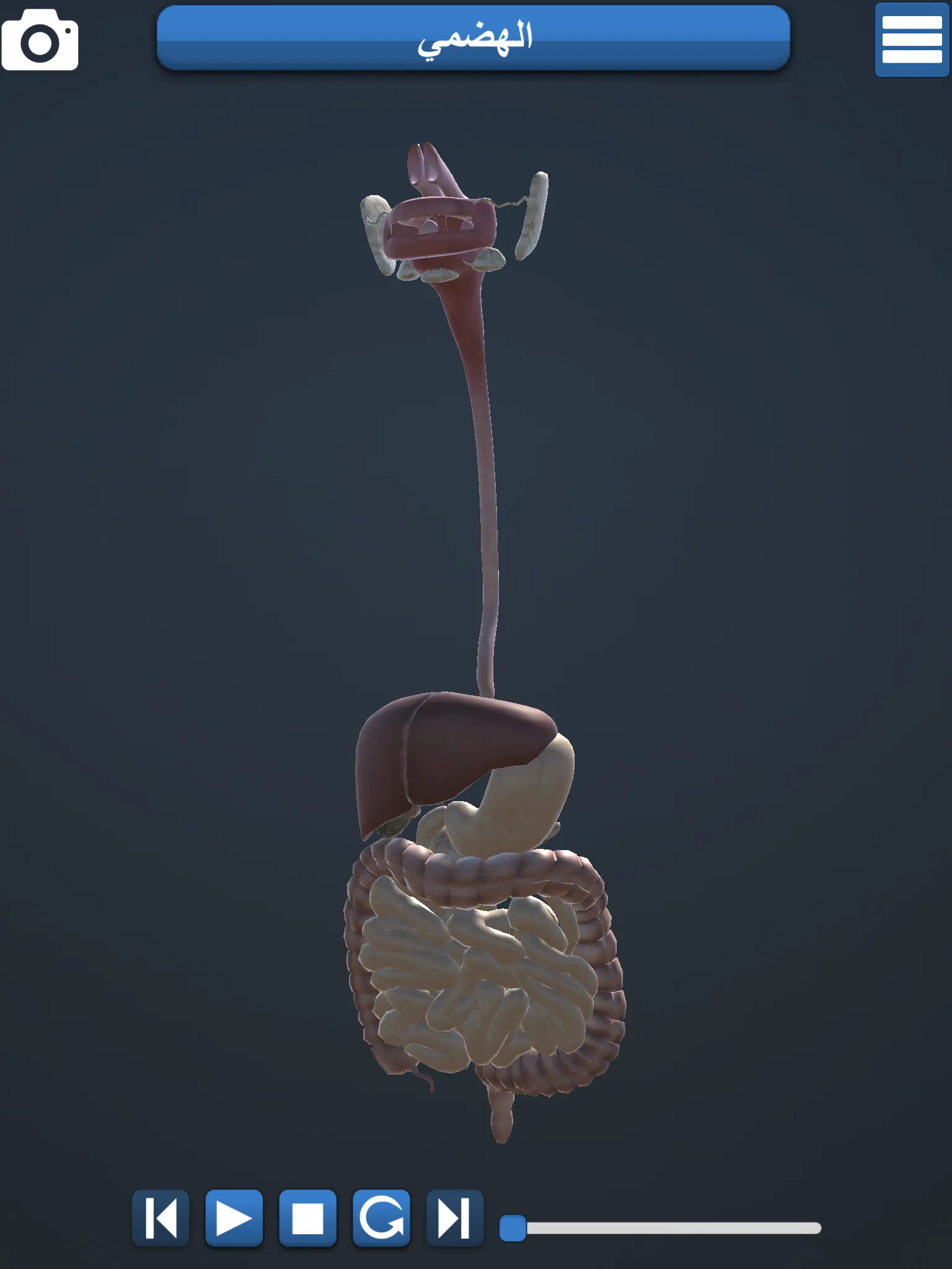 Anatomy 3D | Indus Appstore | Screenshot