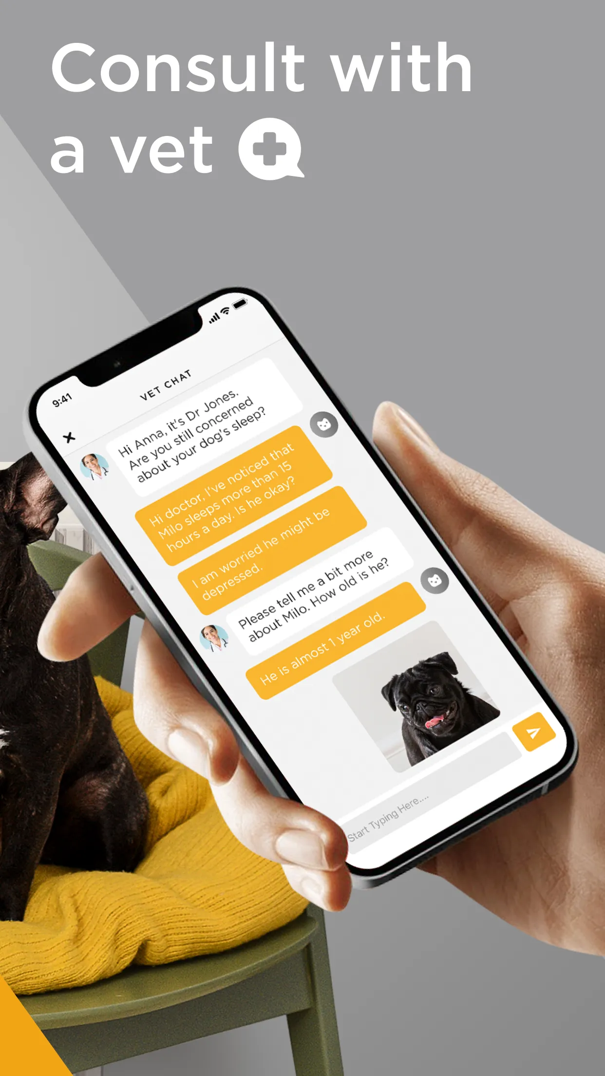 Petcube | Indus Appstore | Screenshot