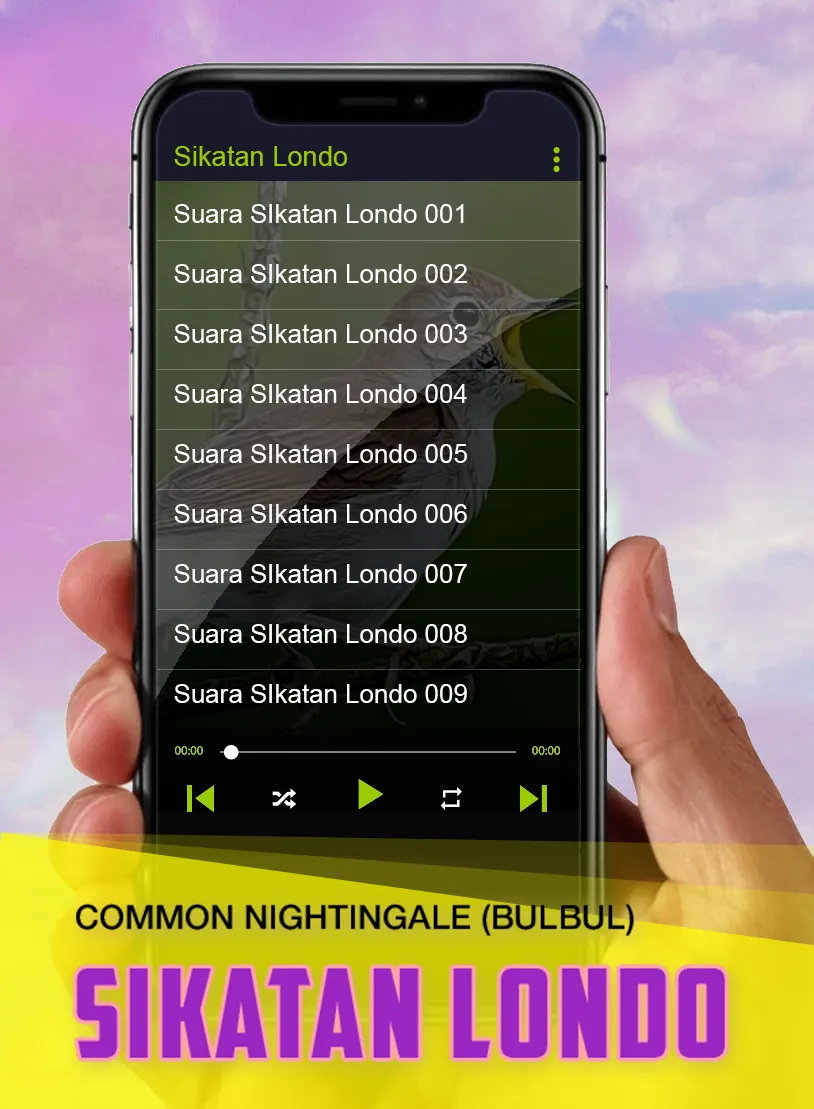 Kicau Burung: Sikatan Londo | Indus Appstore | Screenshot