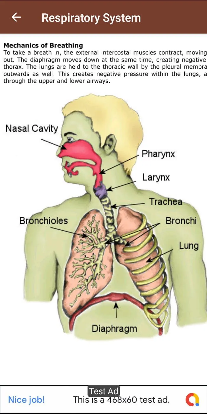 Anatomy & Physiology | Indus Appstore | Screenshot