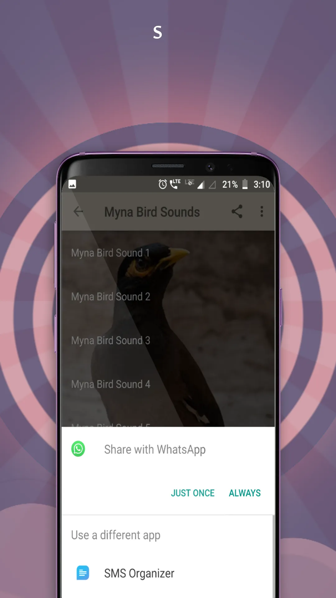 Myna Bird Sounds | Indus Appstore | Screenshot