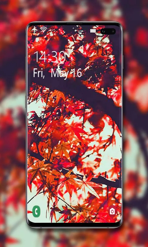 Autumn Wallpaper | Indus Appstore | Screenshot