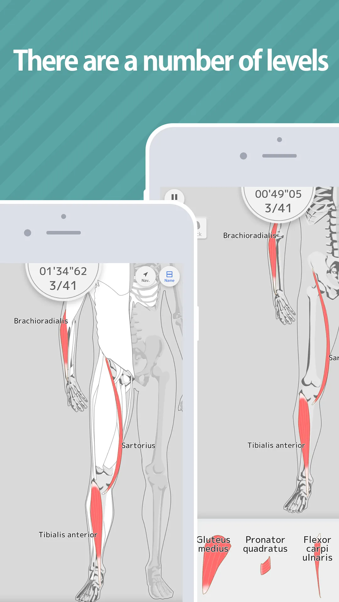 E. Learning Muscles Puzzle | Indus Appstore | Screenshot