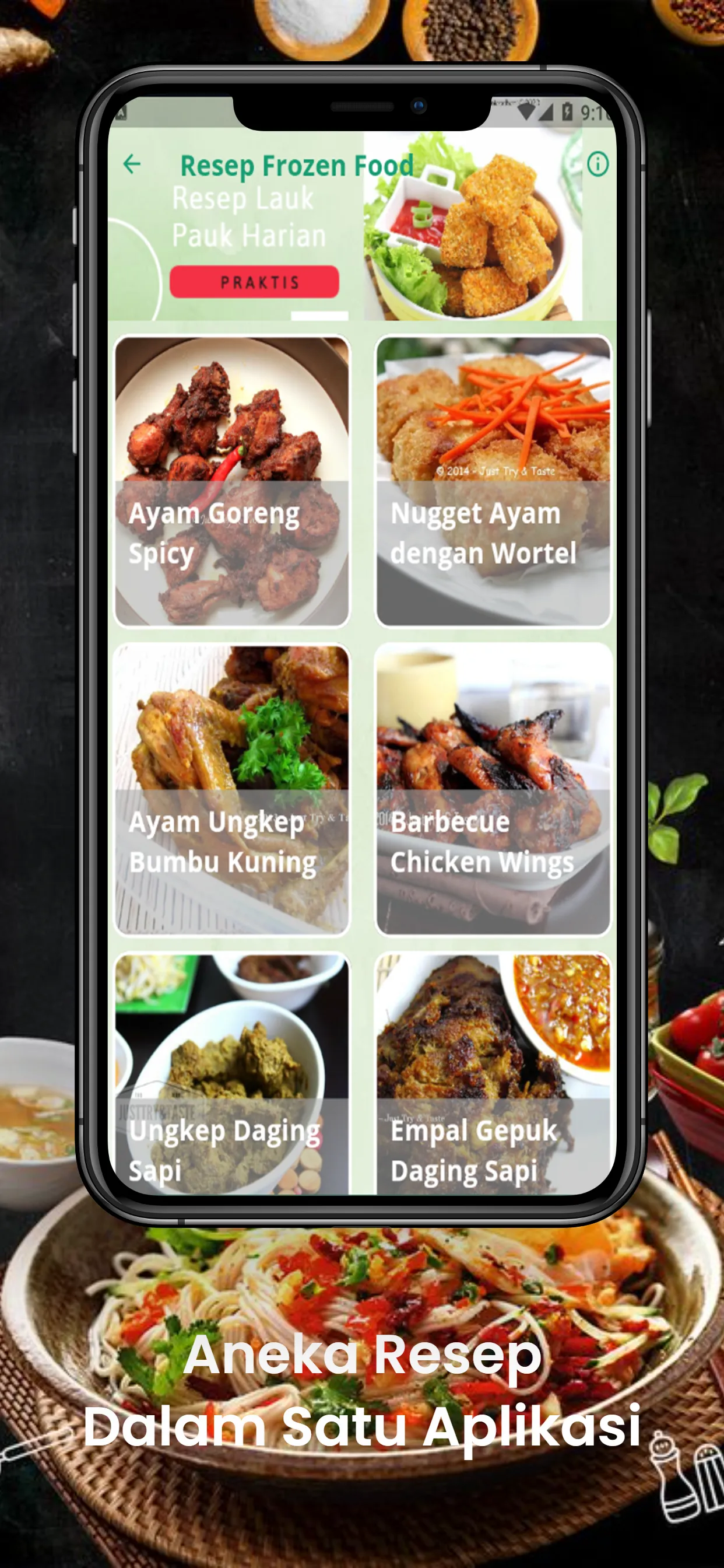 Resep Lauk Pauk Harian Praktis | Indus Appstore | Screenshot