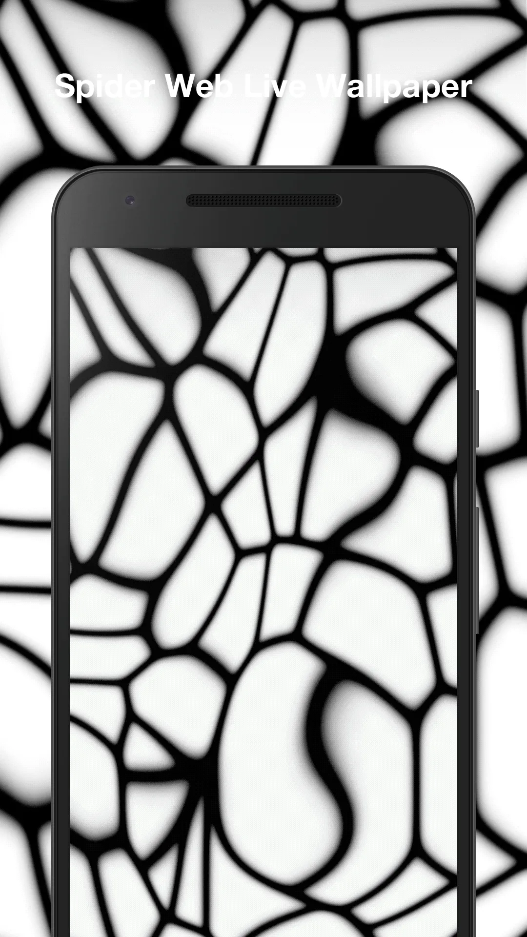 Spider Web Live Wallpaper | Indus Appstore | Screenshot