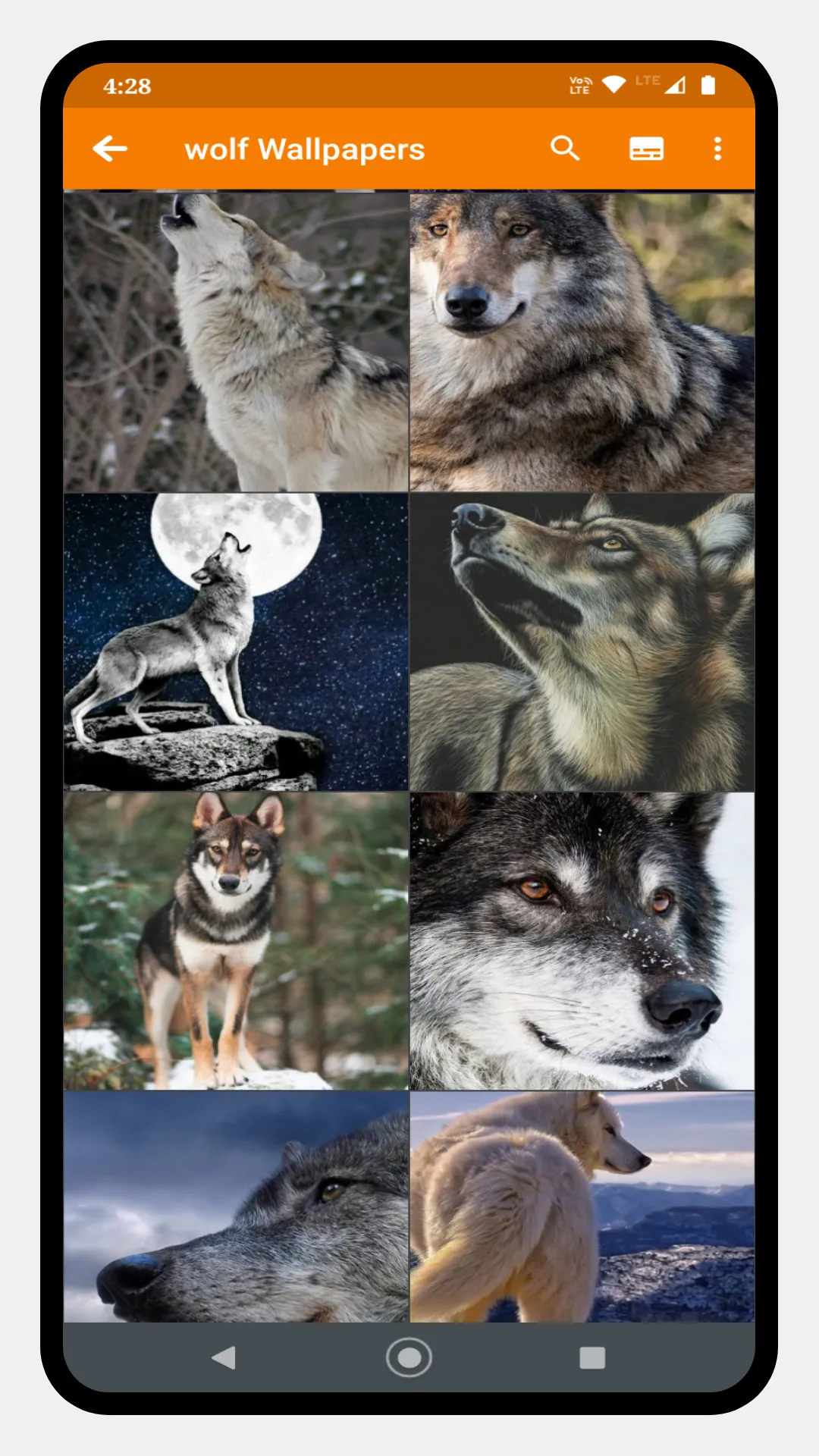 Wolf Wallpaper-OFFLINE | Indus Appstore | Screenshot