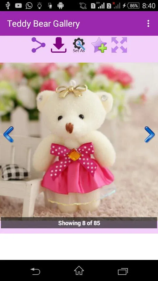 Teddy Bear Gallery | Indus Appstore | Screenshot