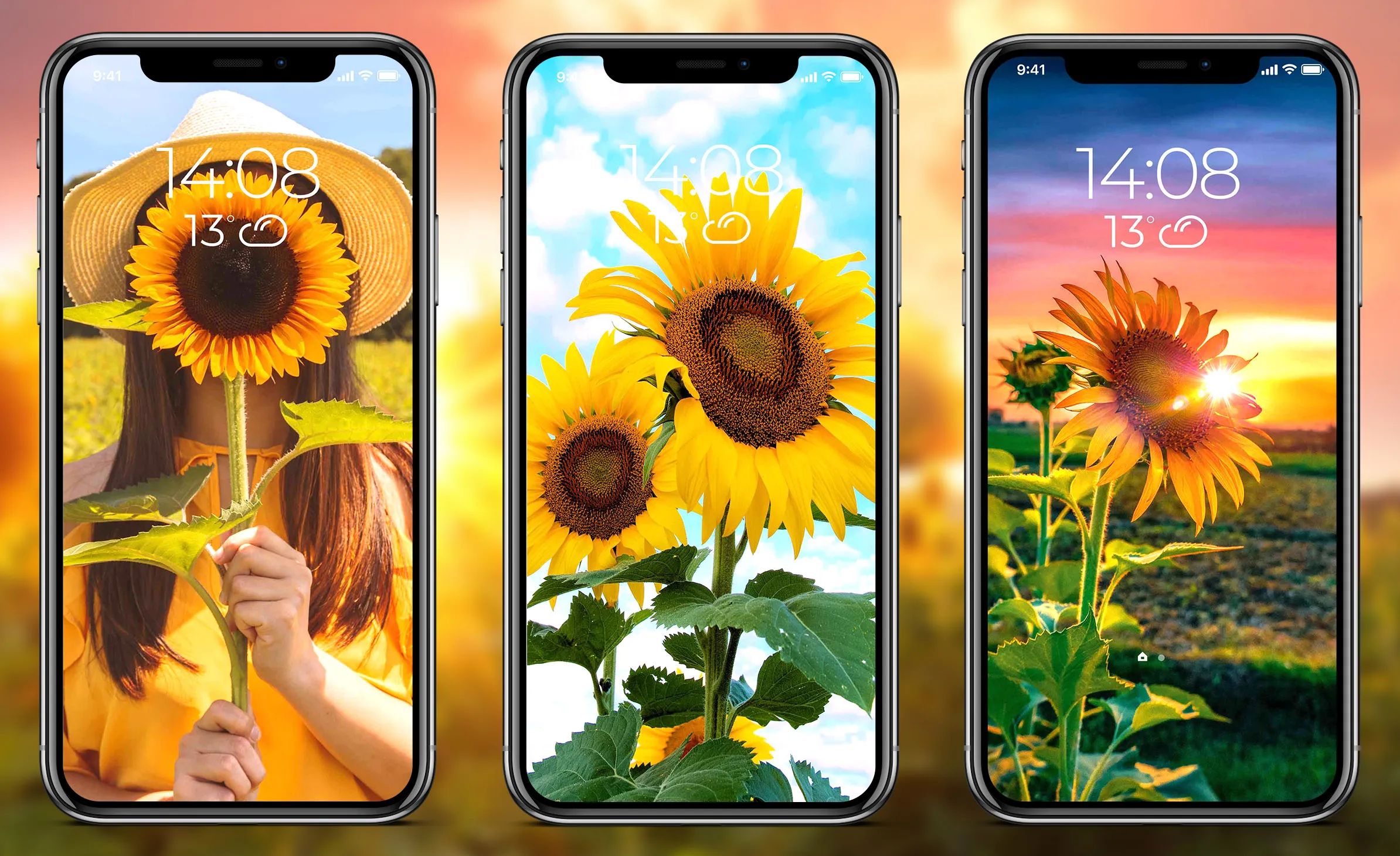 Sunflower Wallpapers | Indus Appstore | Screenshot