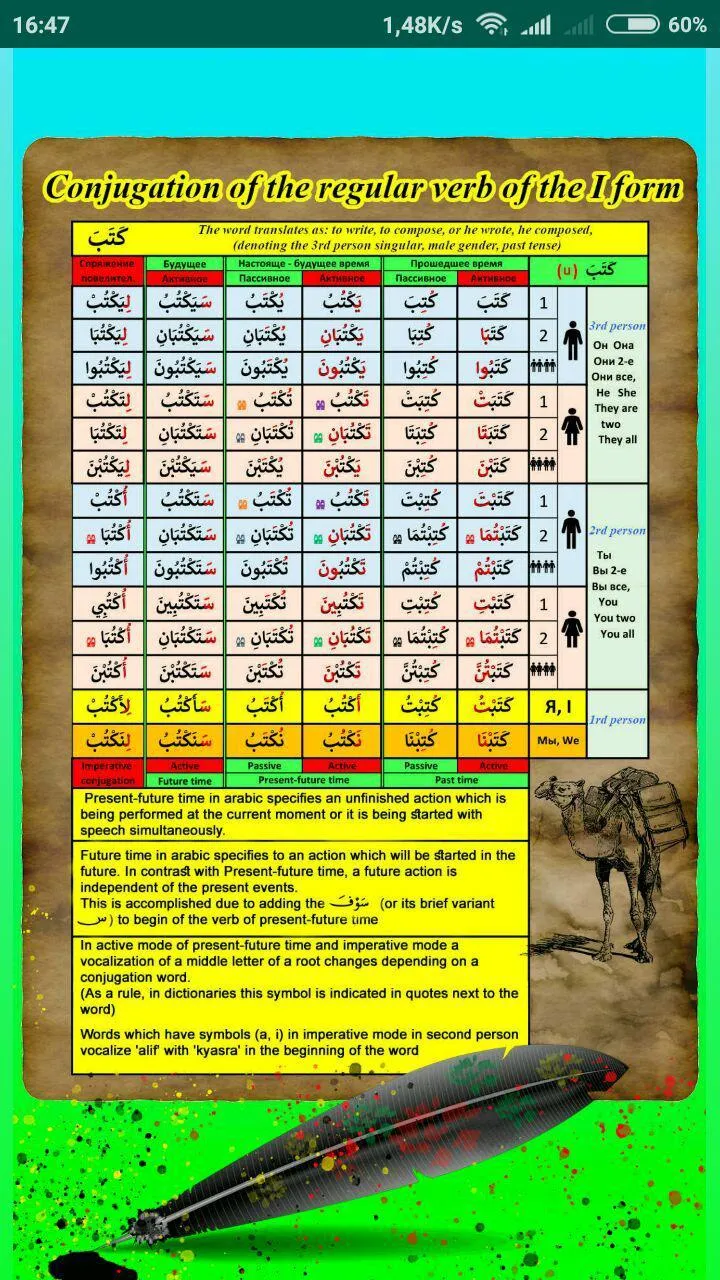 Arabic verbs - tests. Lite | Indus Appstore | Screenshot