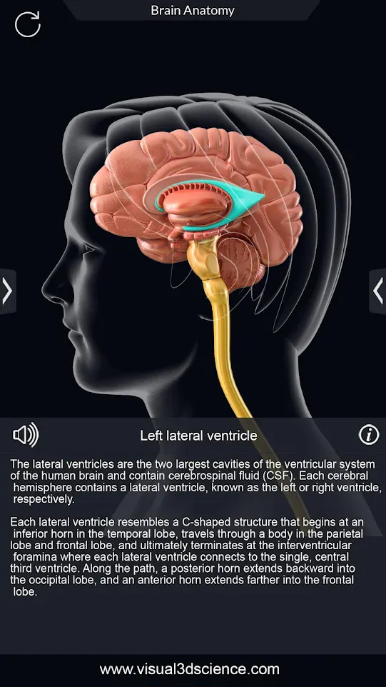 Brain Anatomy Pro. | Indus Appstore | Screenshot