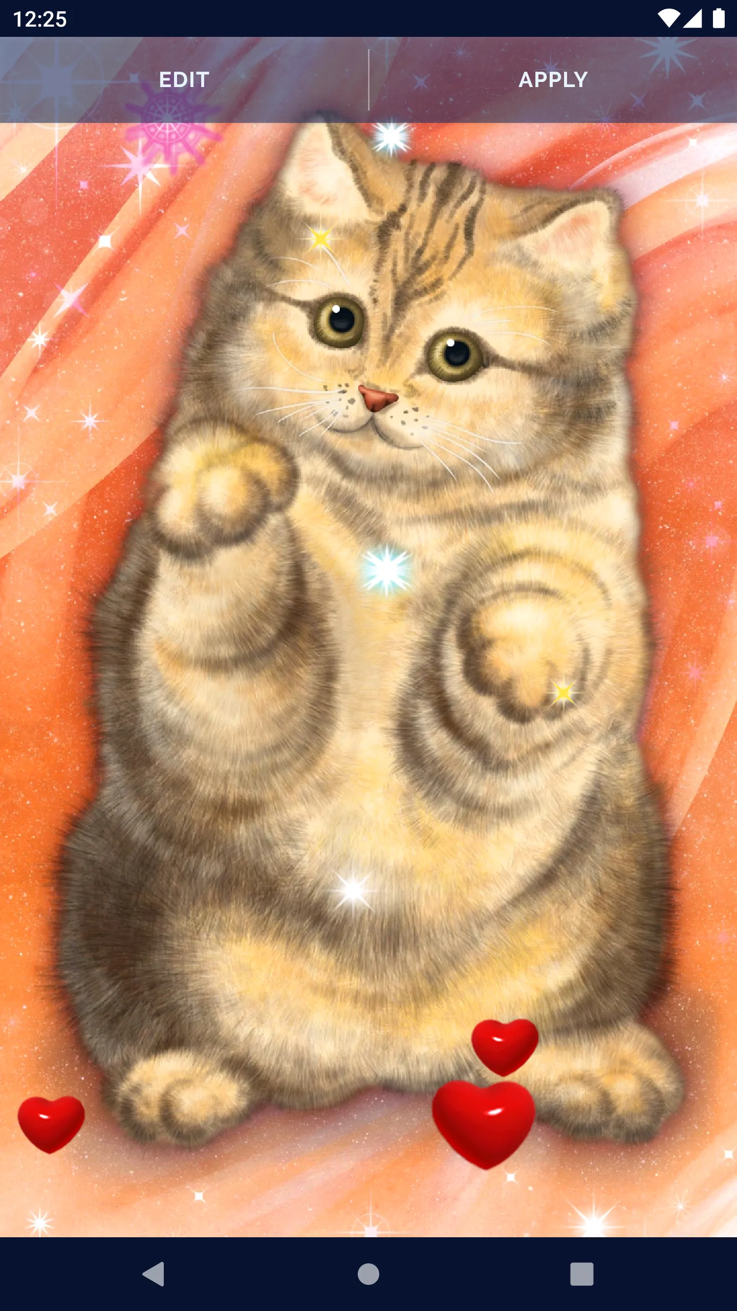 Cute Fluffy Cat Live Wallpaper | Indus Appstore | Screenshot