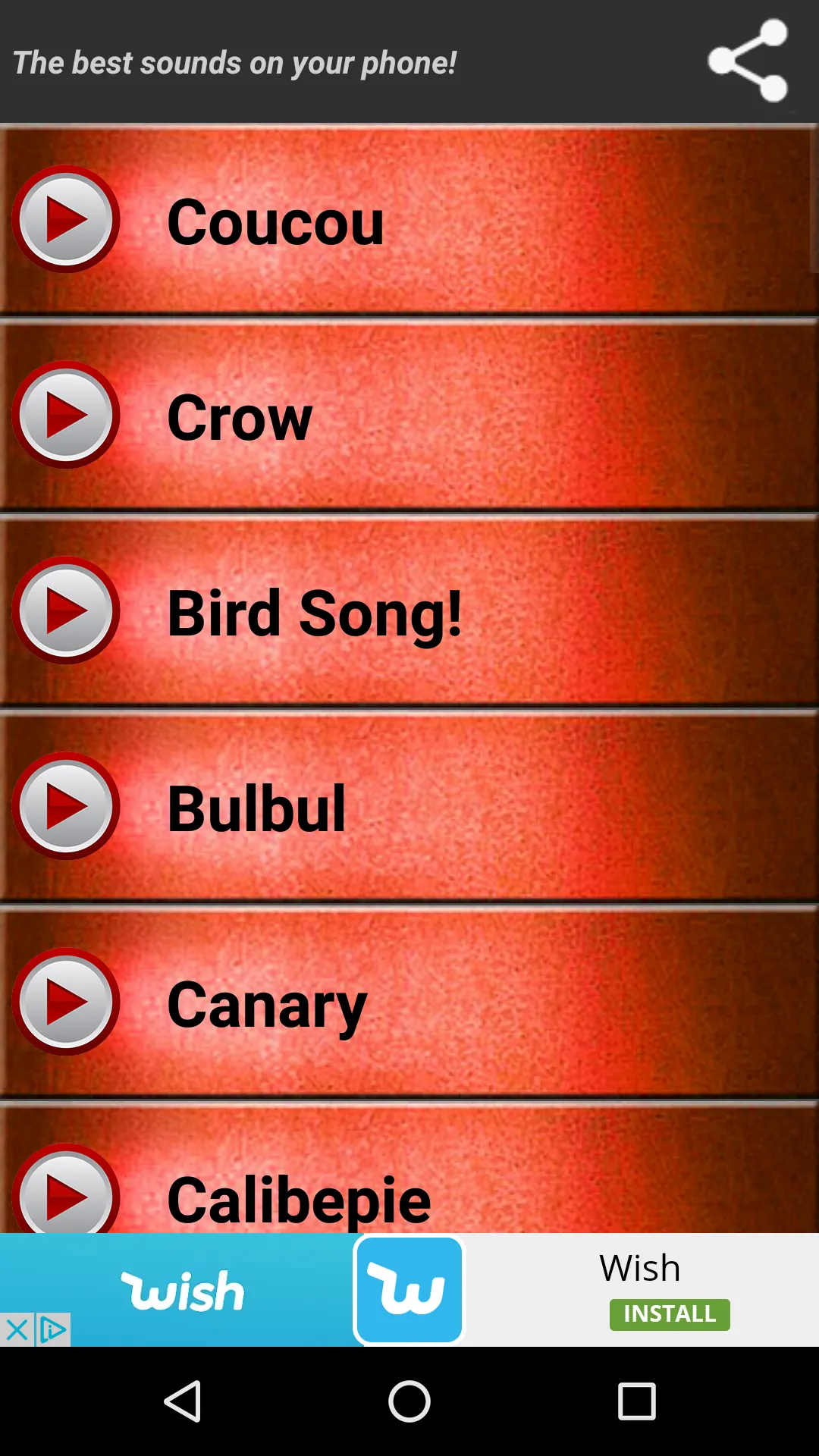 Birds Sounds Ringtones | Indus Appstore | Screenshot