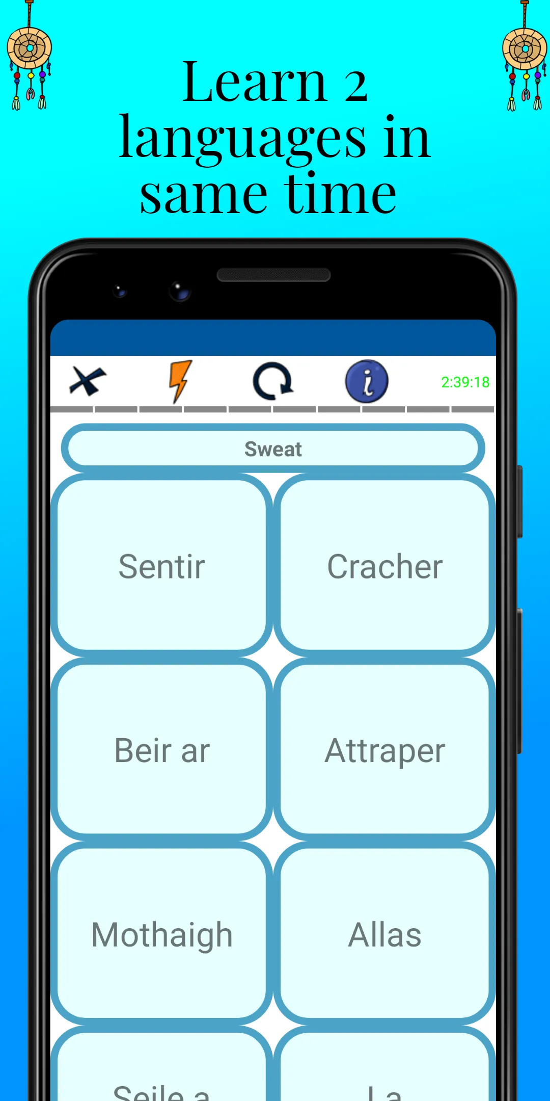 MTL Learn Irish Words | Indus Appstore | Screenshot