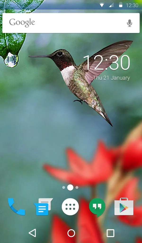 Colibri Live Wallpaper Theme | Indus Appstore | Screenshot