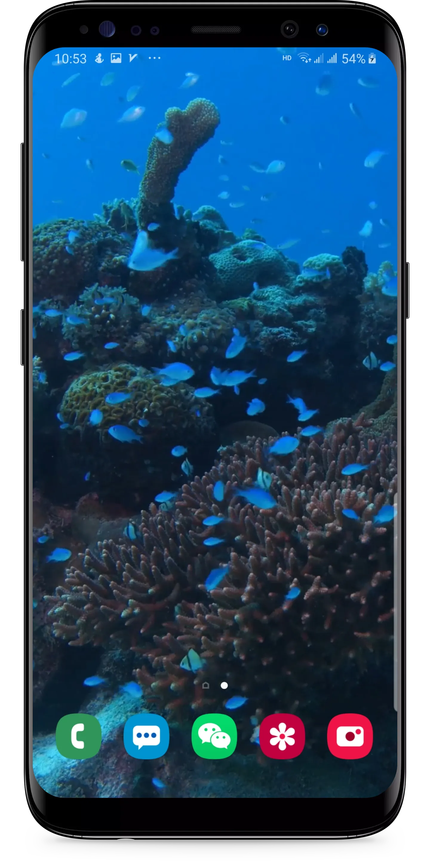 Real Aquarium Live Wallpaper | Indus Appstore | Screenshot