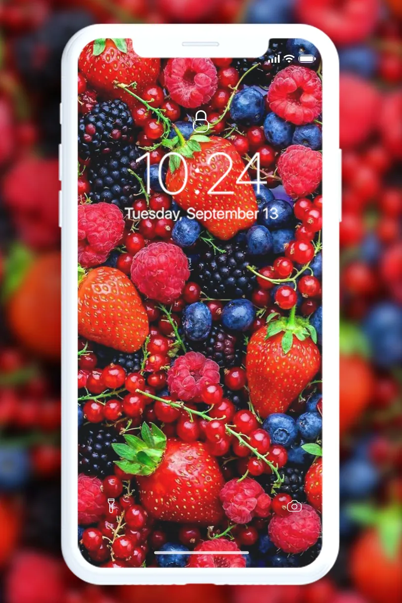 Fruit Wallpaper | Indus Appstore | Screenshot