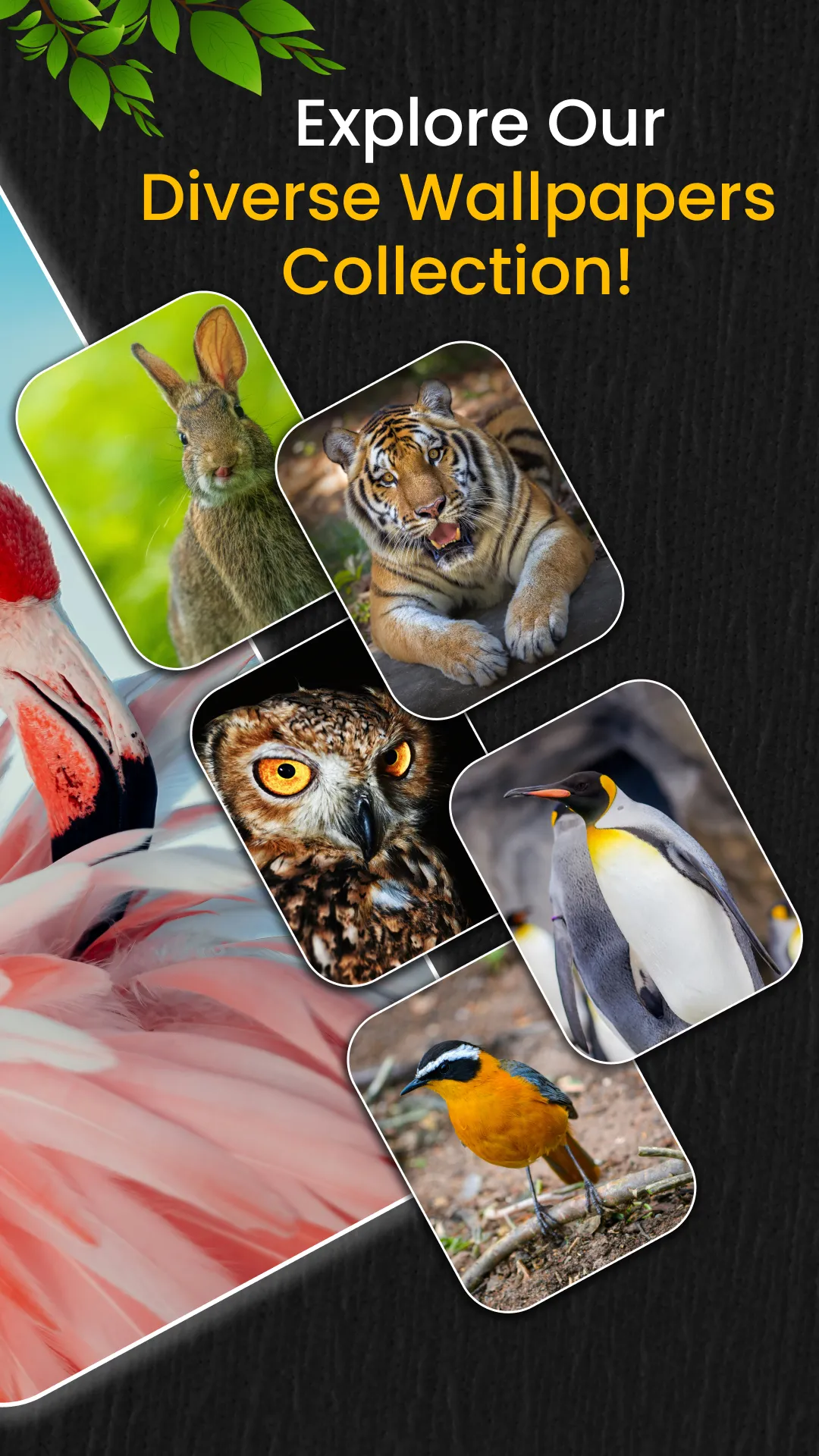 Animal Ringtones | Indus Appstore | Screenshot