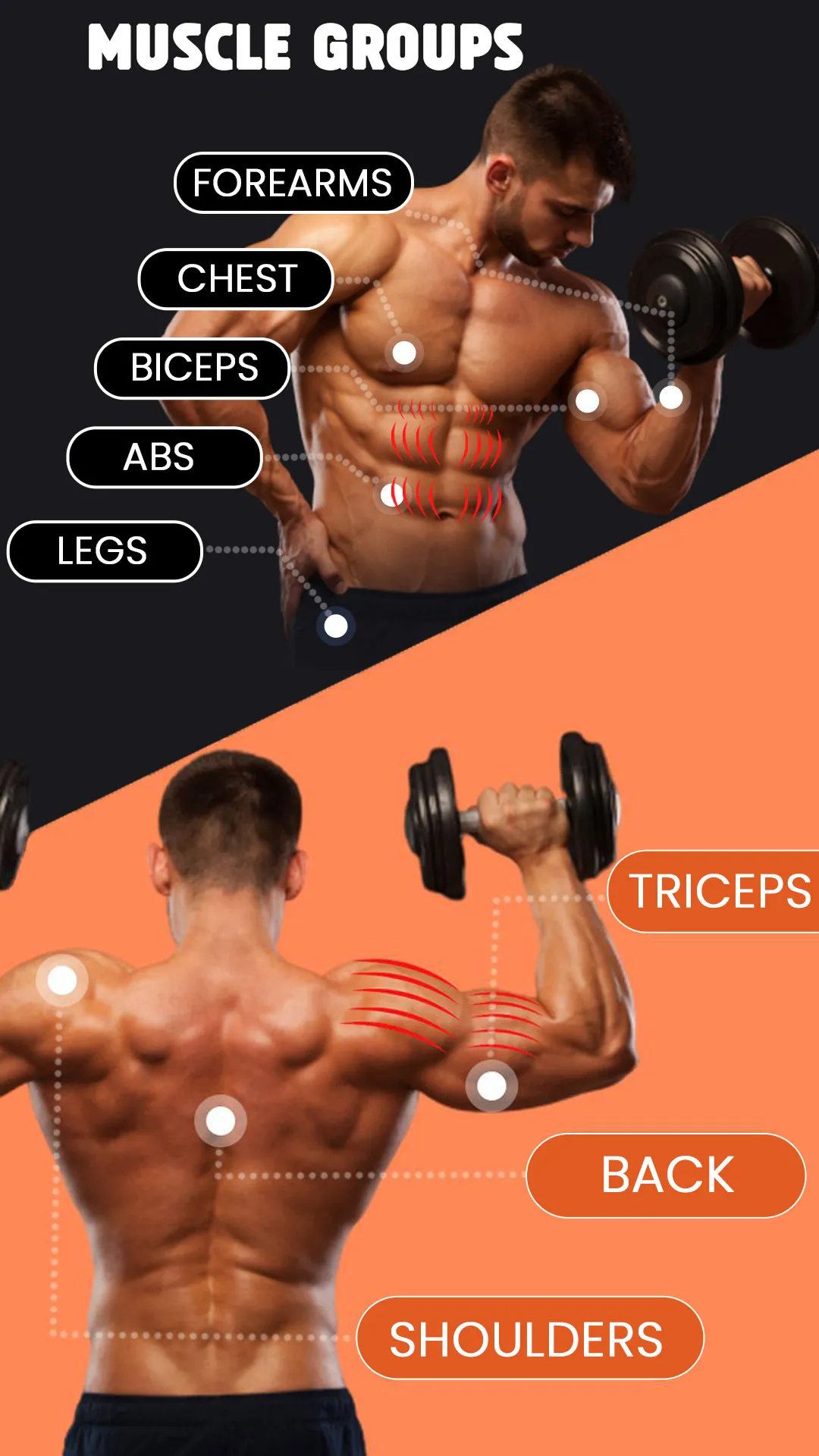 Home Fitness: Dumbbell Workout | Indus Appstore | Screenshot