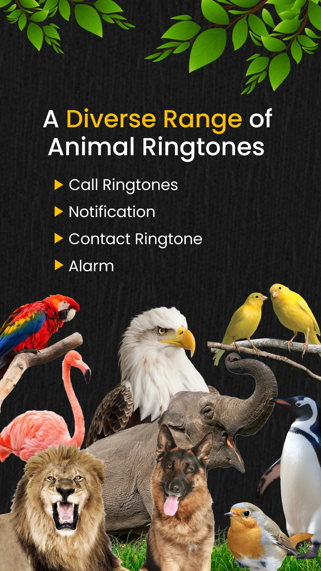 Animal Ringtones | Indus Appstore | Screenshot