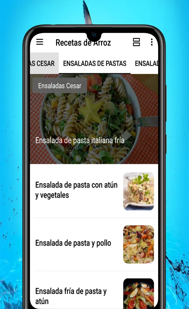 Recetas de Arroz | Indus Appstore | Screenshot