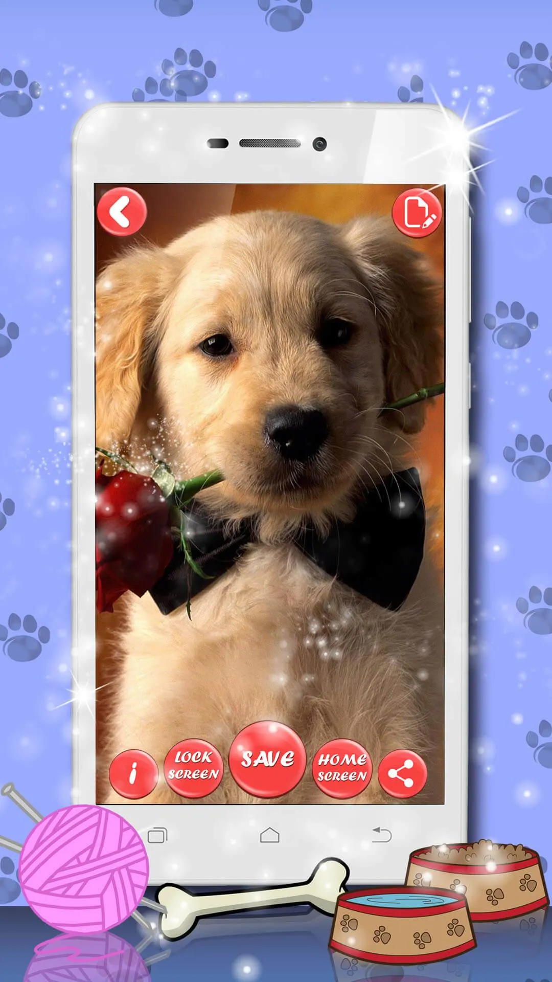 Cute Cat & Dog Live Wallpapers | Indus Appstore | Screenshot