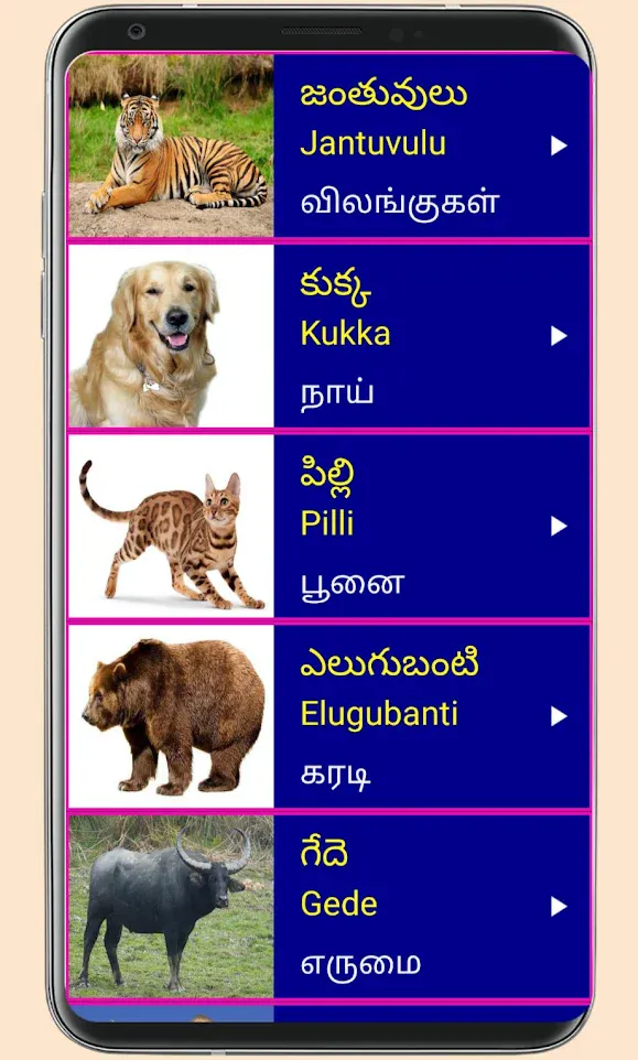 Learn Telugu From Tamil | Indus Appstore | Screenshot