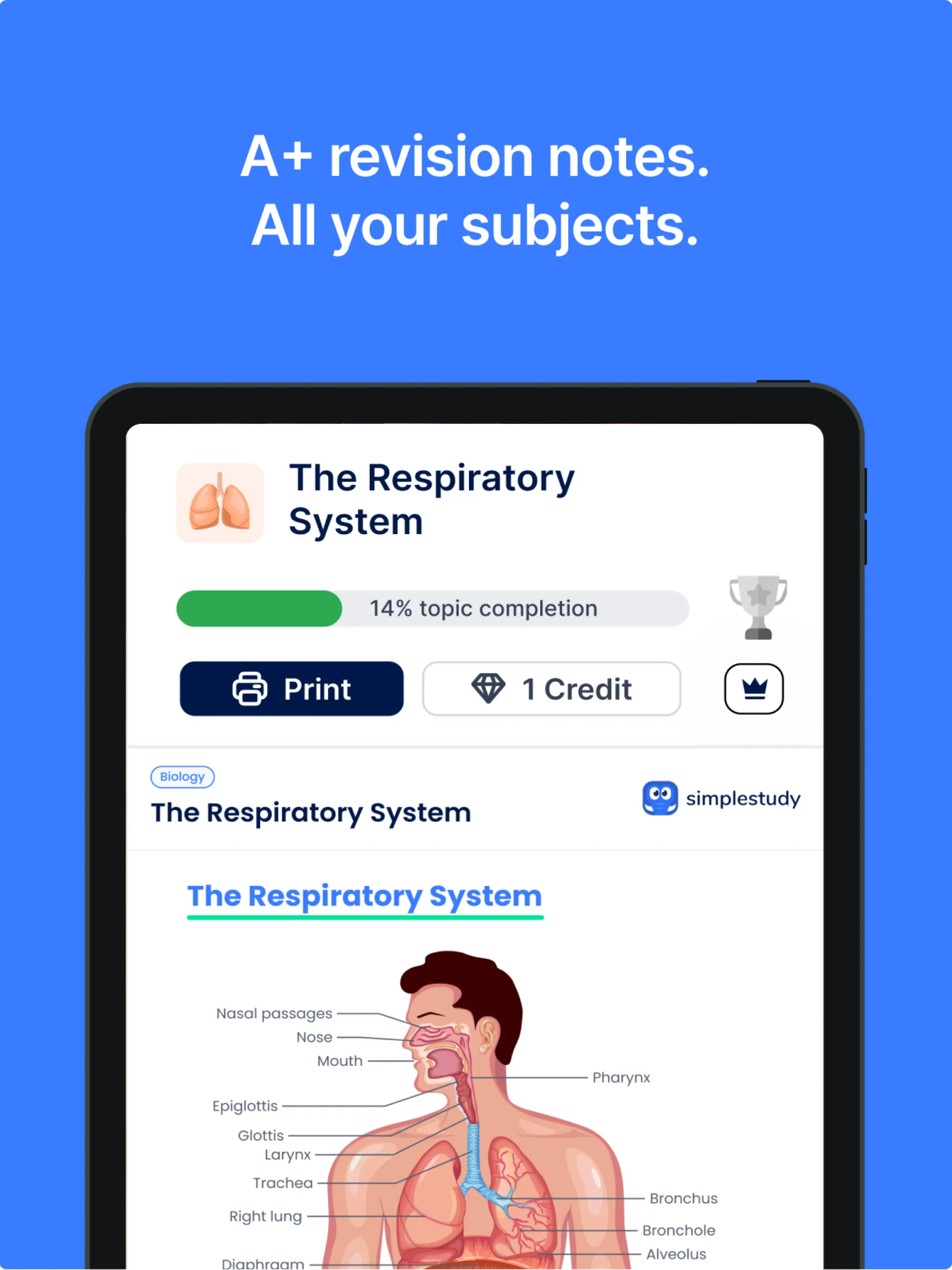 SimpleStudy: Exams & Revision | Indus Appstore | Screenshot